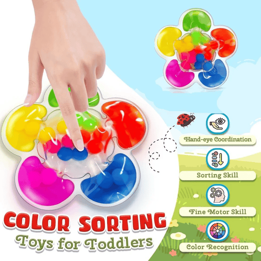 Color Sorting Sensory Squishy Toy Cognitive & Motor Skills