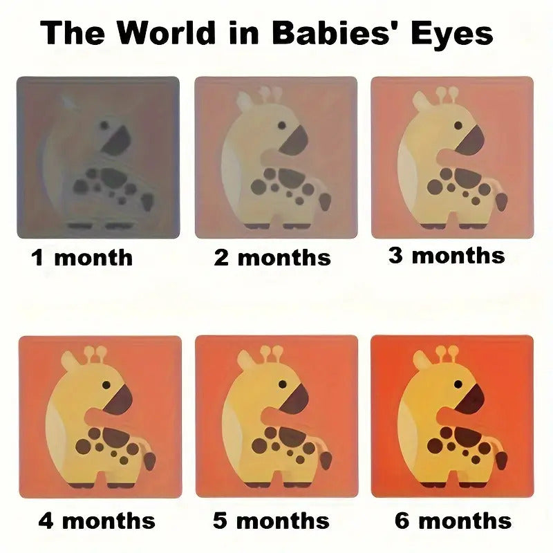 Visual Stimulation Cards for Babies – 3 to 6 Months