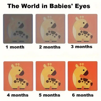 Visual Stimulation Cards for Babies - 3 to 6 Months Cognitive & Motor Skills