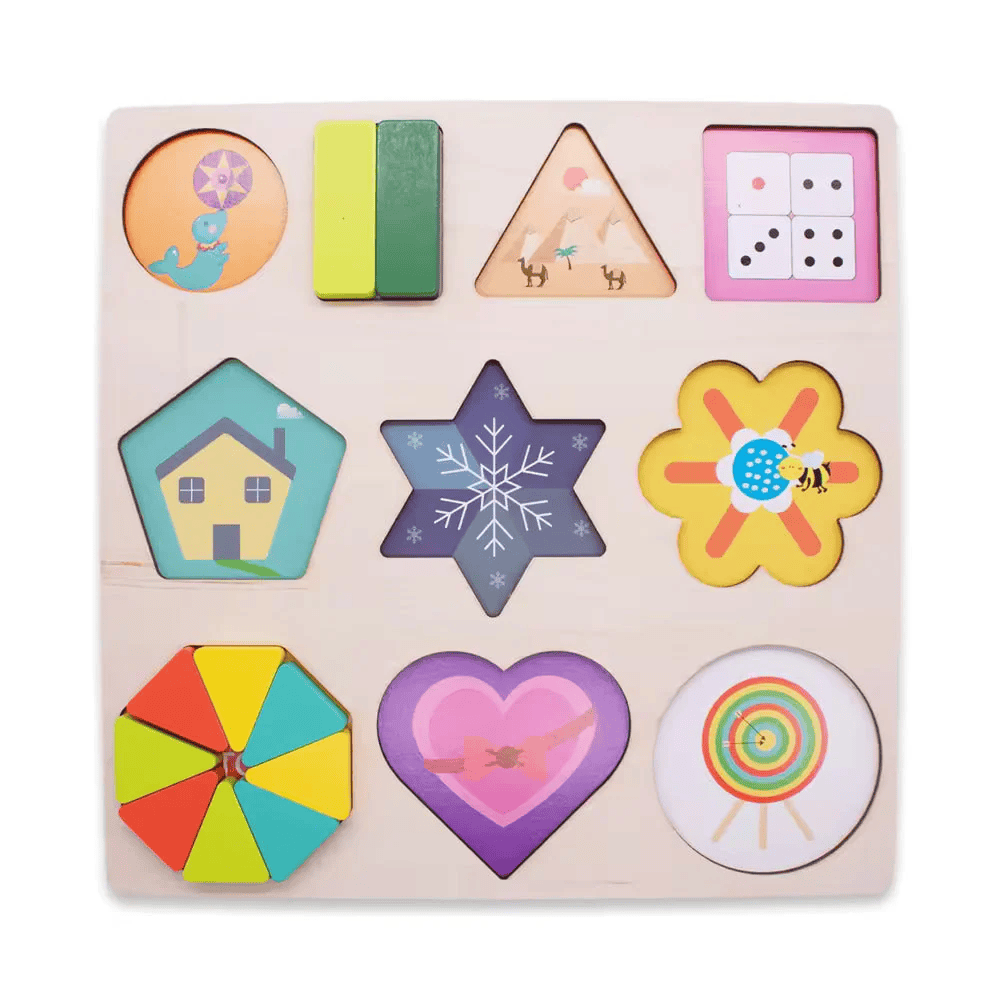 Wooden Geometry Matching Puzzle Set