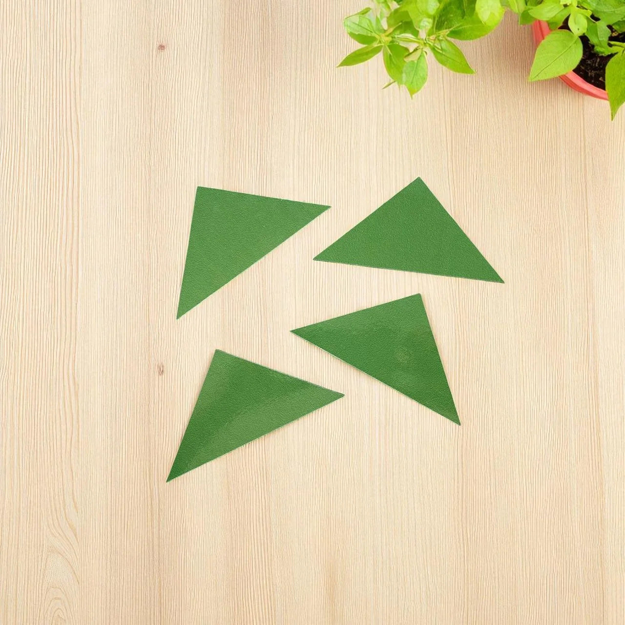 Triangle Explorer Puzzle