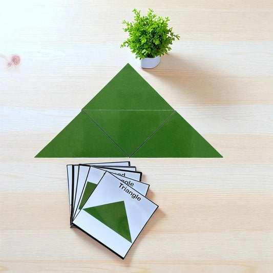 Triangle Explorer Puzzle